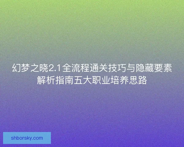 幻梦之晓2.1全流程通关技巧与隐藏要素解析指南五大职业培养思路