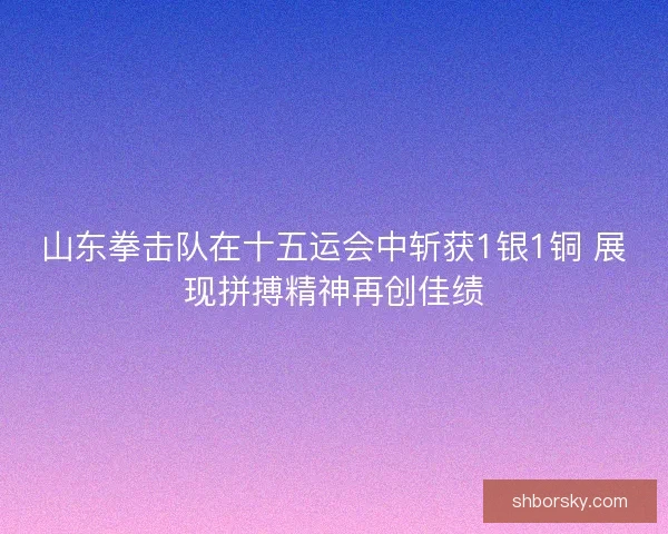 山东拳击队在十五运会中斩获1银1铜 展现拼搏精神再创佳绩